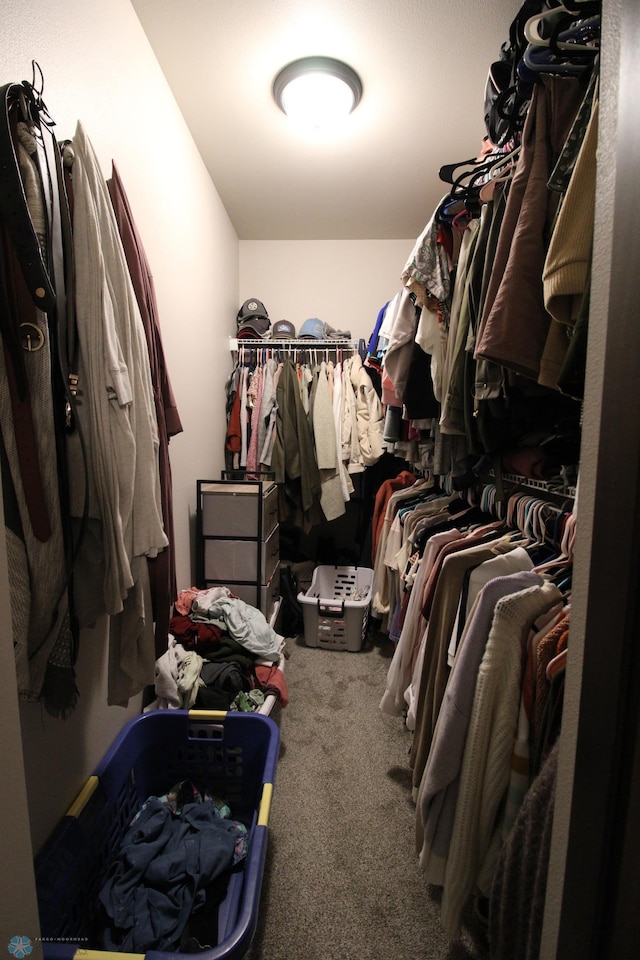 spacious closet with carpet floors