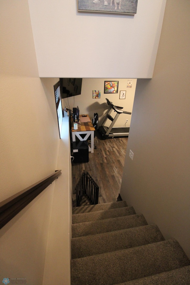 stairway featuring hardwood / wood-style floors