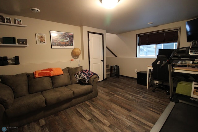 office space with dark hardwood / wood-style flooring