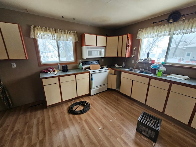 kitchen featuring cream cabinets, white appliances, light hardwood / wood-style flooring, and sink