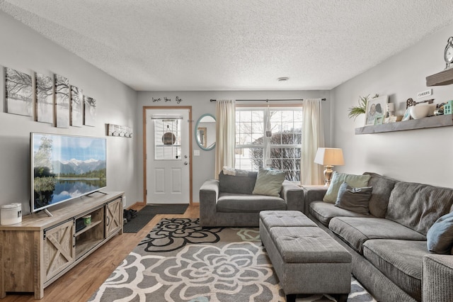 living room featuring hardwood / wood-style flooring and a textured ceiling