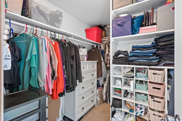 spacious closet with carpet flooring