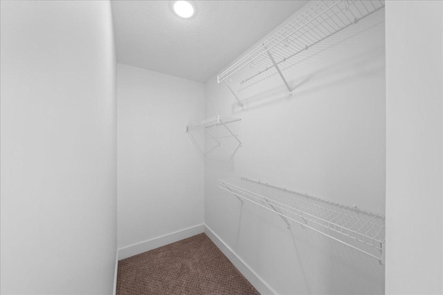 spacious closet with carpet flooring