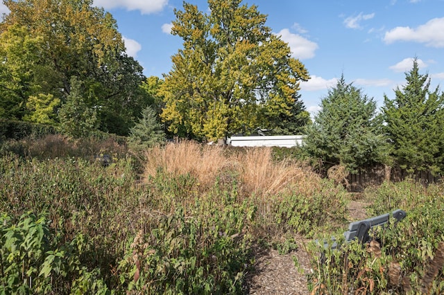 5136 Hiawatha Ave Unit 002, Minneapolis, MN 55417 - view of yard featuring a view of trees