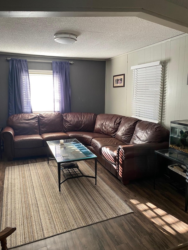 living room featuring hardwood / wood-style floors and a textured ceiling