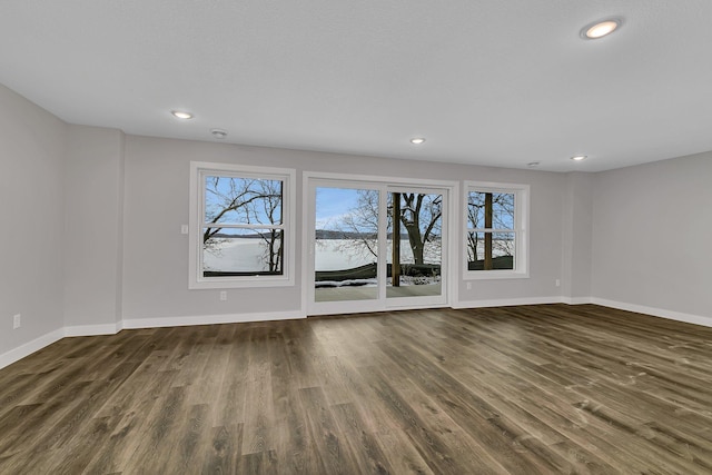 spare room featuring plenty of natural light and dark wood-type flooring