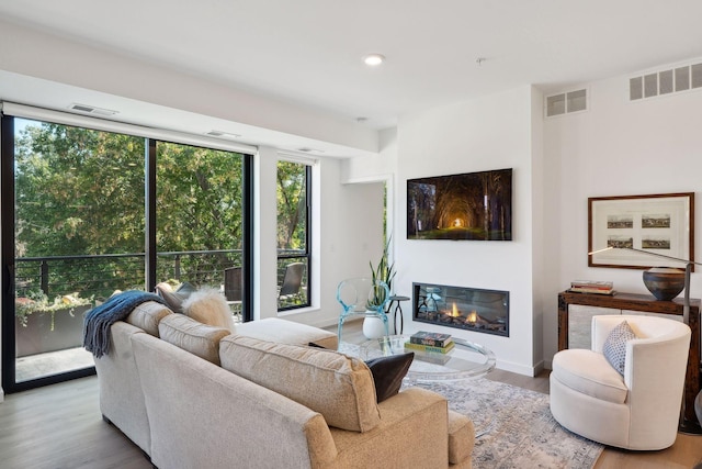 living room featuring light hardwood / wood-style flooring