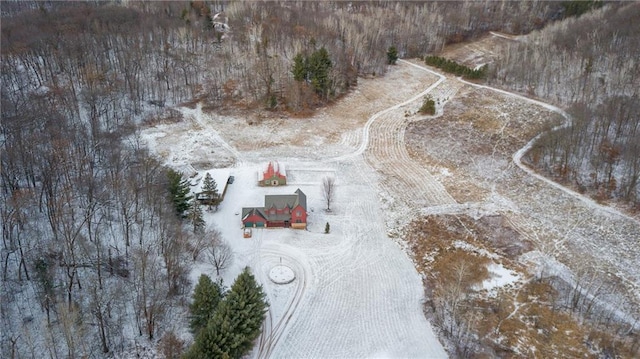 view of snowy aerial view