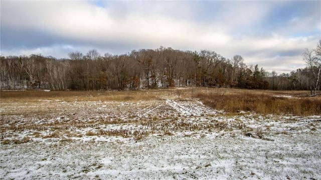 view of local wilderness