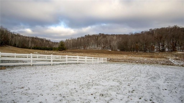 view of yard with a rural view