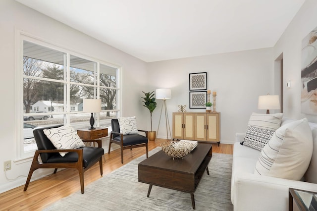 living room featuring hardwood / wood-style flooring and plenty of natural light