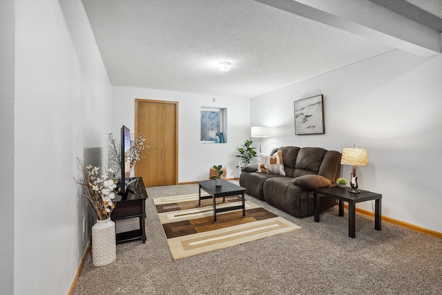 carpeted living room with a textured ceiling