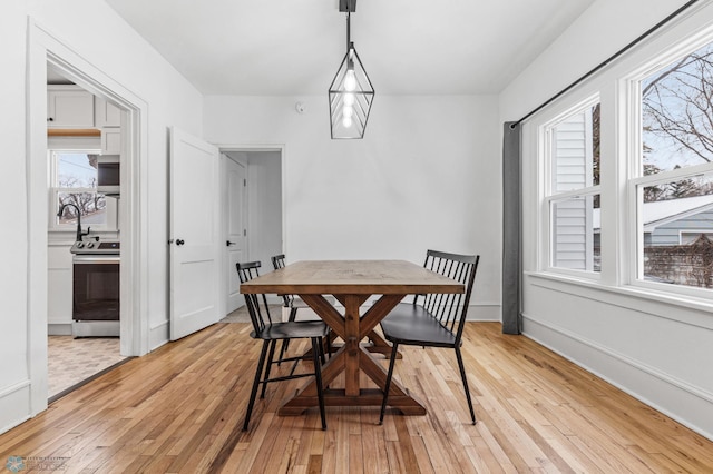 dining room with plenty of natural light and light hardwood / wood-style floors