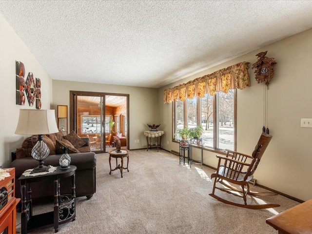 living area with a textured ceiling, baseboards, and carpet flooring