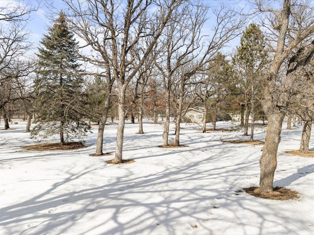 view of snowy yard