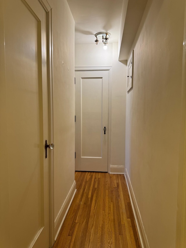 hallway featuring wood-type flooring