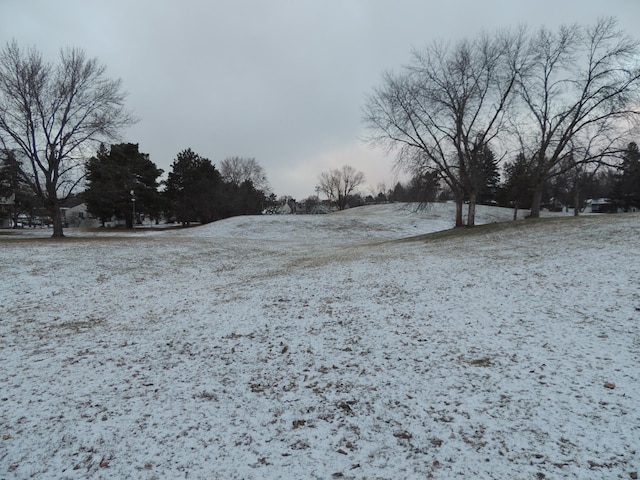 view of snowy yard