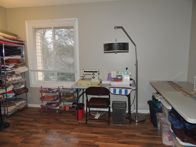 office space featuring dark hardwood / wood-style flooring and a wealth of natural light