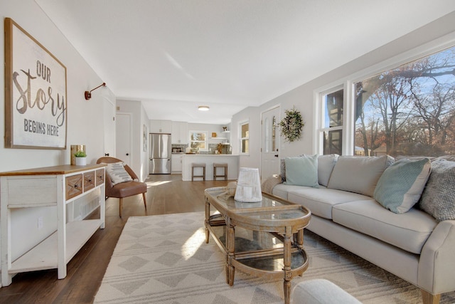 living room featuring dark hardwood / wood-style floors