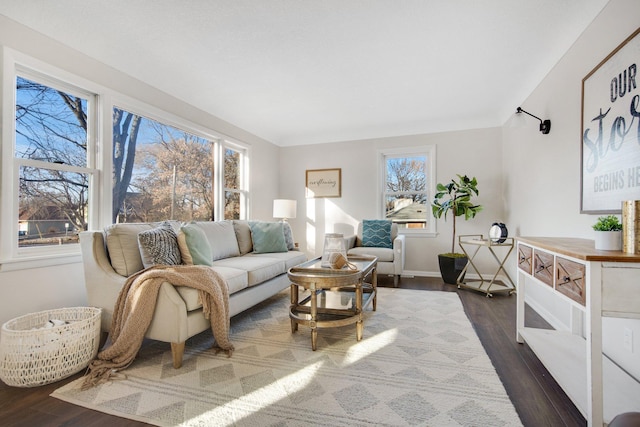 living room featuring dark hardwood / wood-style floors and plenty of natural light