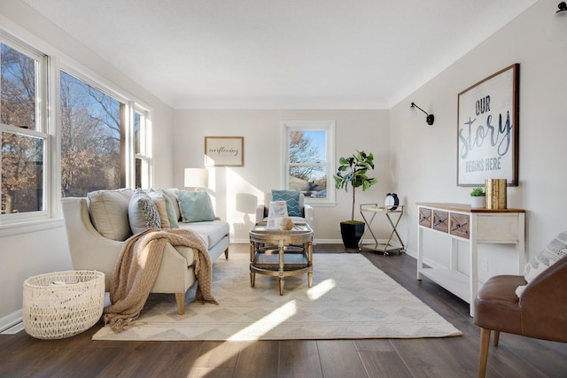 sitting room with hardwood / wood-style flooring