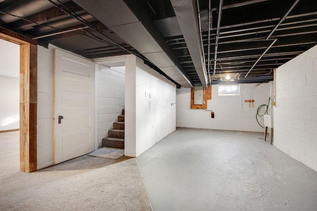 basement with electric panel