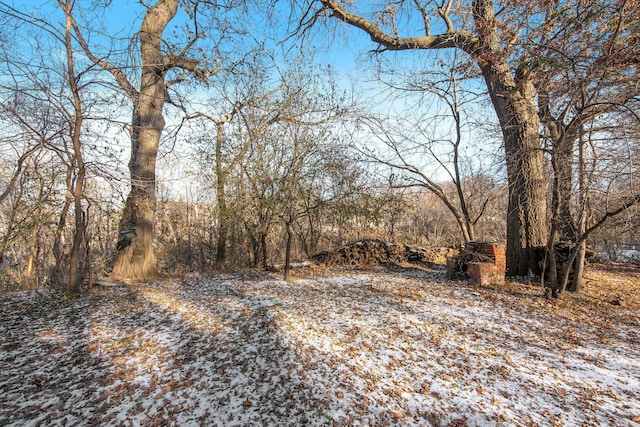 view of local wilderness