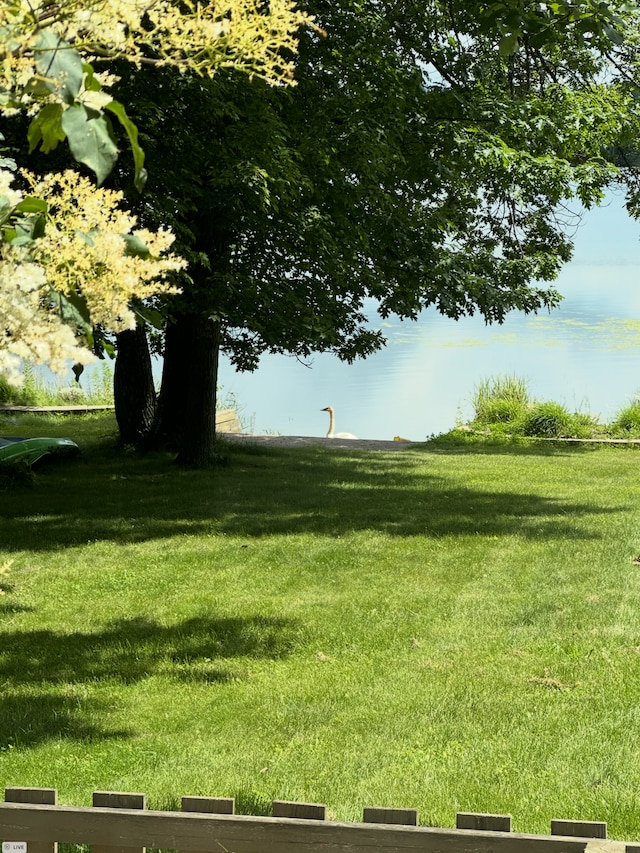 view of yard with a water view