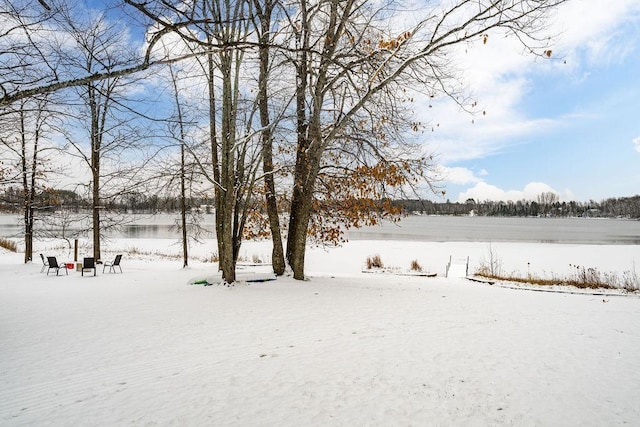 view of yard layered in snow