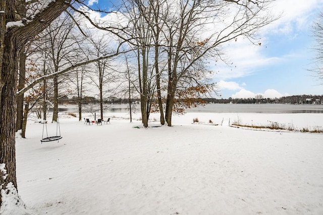 view of snowy yard