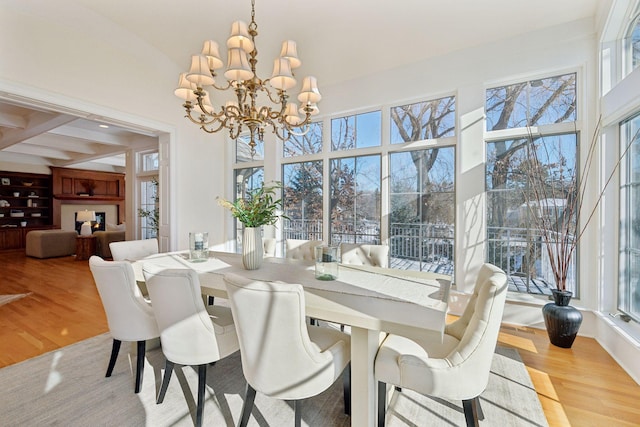 dining area featuring a notable chandelier, light hardwood / wood-style floors, and a wealth of natural light