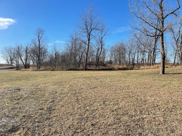 view of yard with a rural view