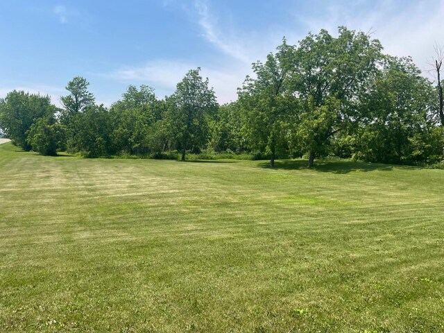 22600 700th Ave, Albert Lea, MN 56007 - photo 12