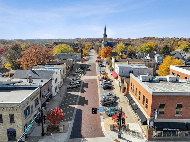 drone / aerial view