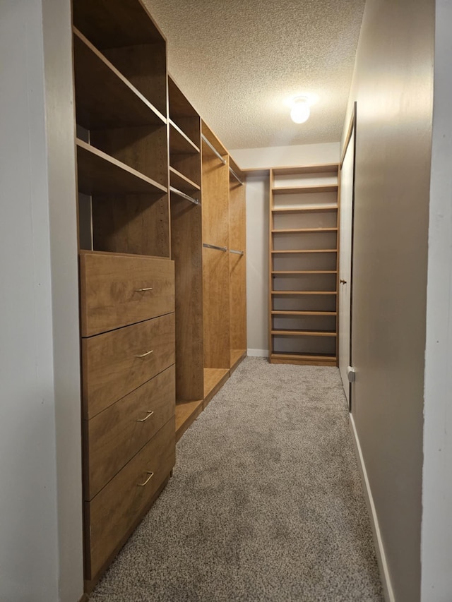 spacious closet with light carpet