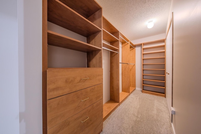 walk in closet with light carpet