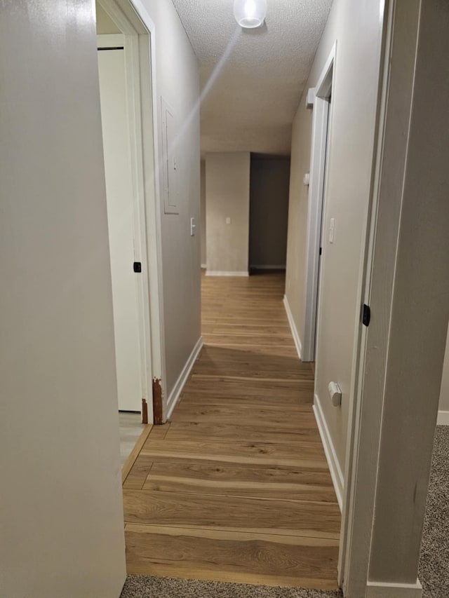 hall featuring a textured ceiling and light hardwood / wood-style flooring