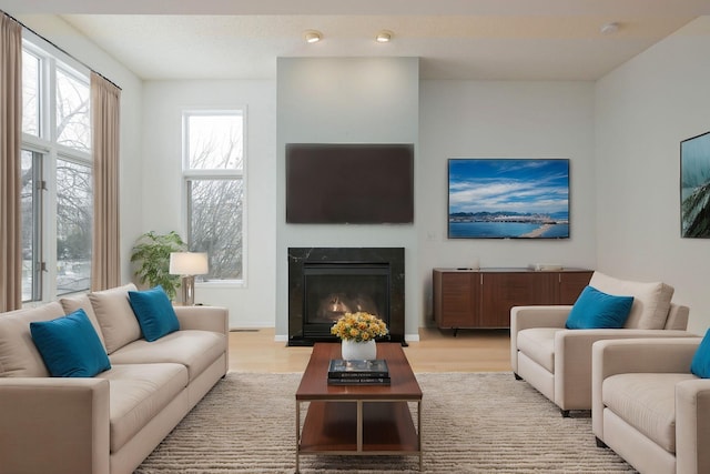 living room with a fireplace with flush hearth and wood finished floors