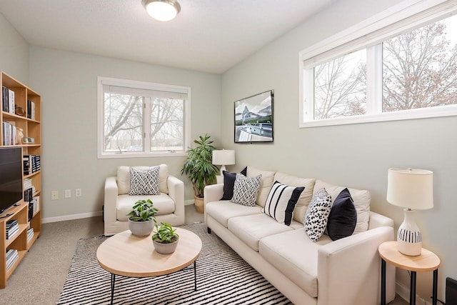 carpeted living area with baseboards and a healthy amount of sunlight