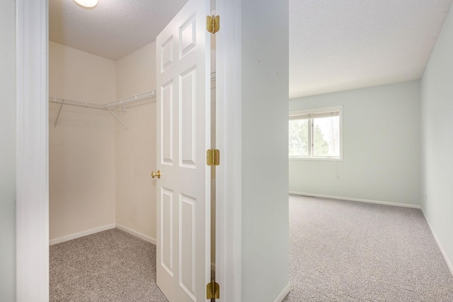 walk in closet featuring carpet floors