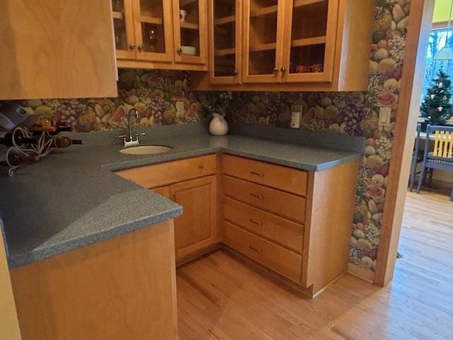 kitchen with light hardwood / wood-style floors and sink