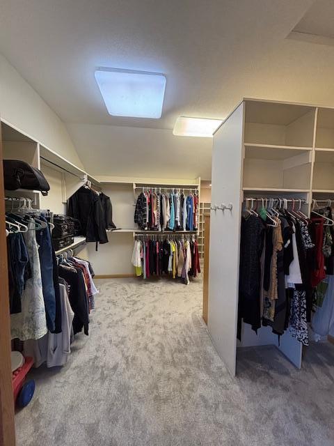 walk in closet with carpet