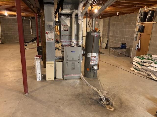 basement with gas water heater