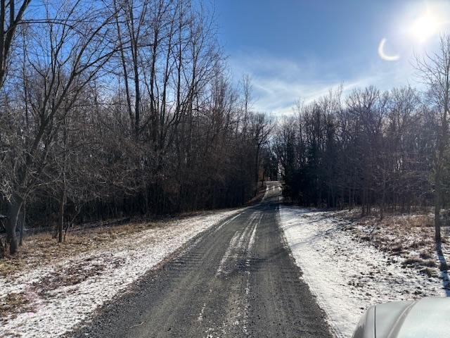 11233 Chisago Blvd, Chisago City, MN 55013 - view of dirt / gravel road featuring a forest view
