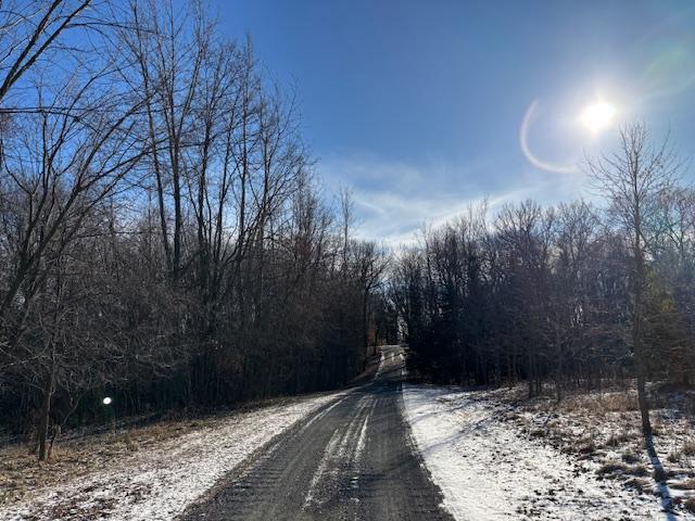 11233 Chisago Blvd, Chisago City, MN 55013 - view of dirt / gravel road with a wooded view