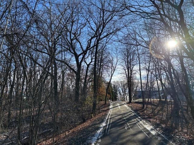 11233 Chisago Blvd, Chisago City, MN 55013 - view of asphalt street