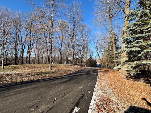 11233 Chisago Blvd, Chisago City, MN 55013 - view of street