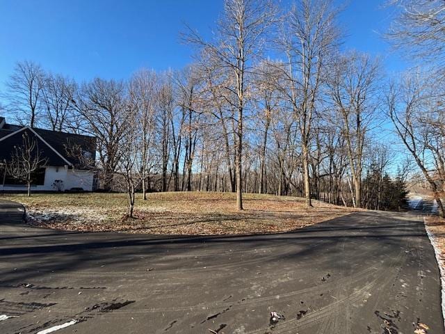 11233 Chisago Blvd, Chisago City, MN 55013 - view of asphalt road