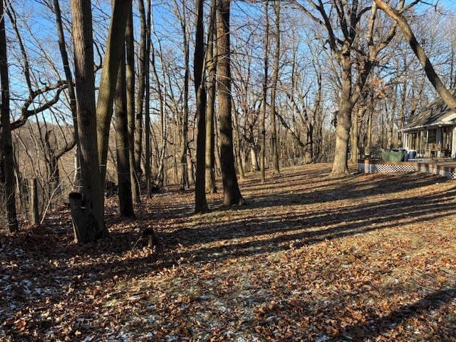 11233 Chisago Blvd, Chisago City, MN 55013 - view of yard