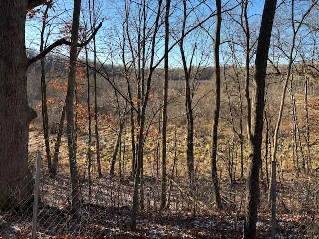 11233 Chisago Blvd, Chisago City, MN 55013 - view of nature